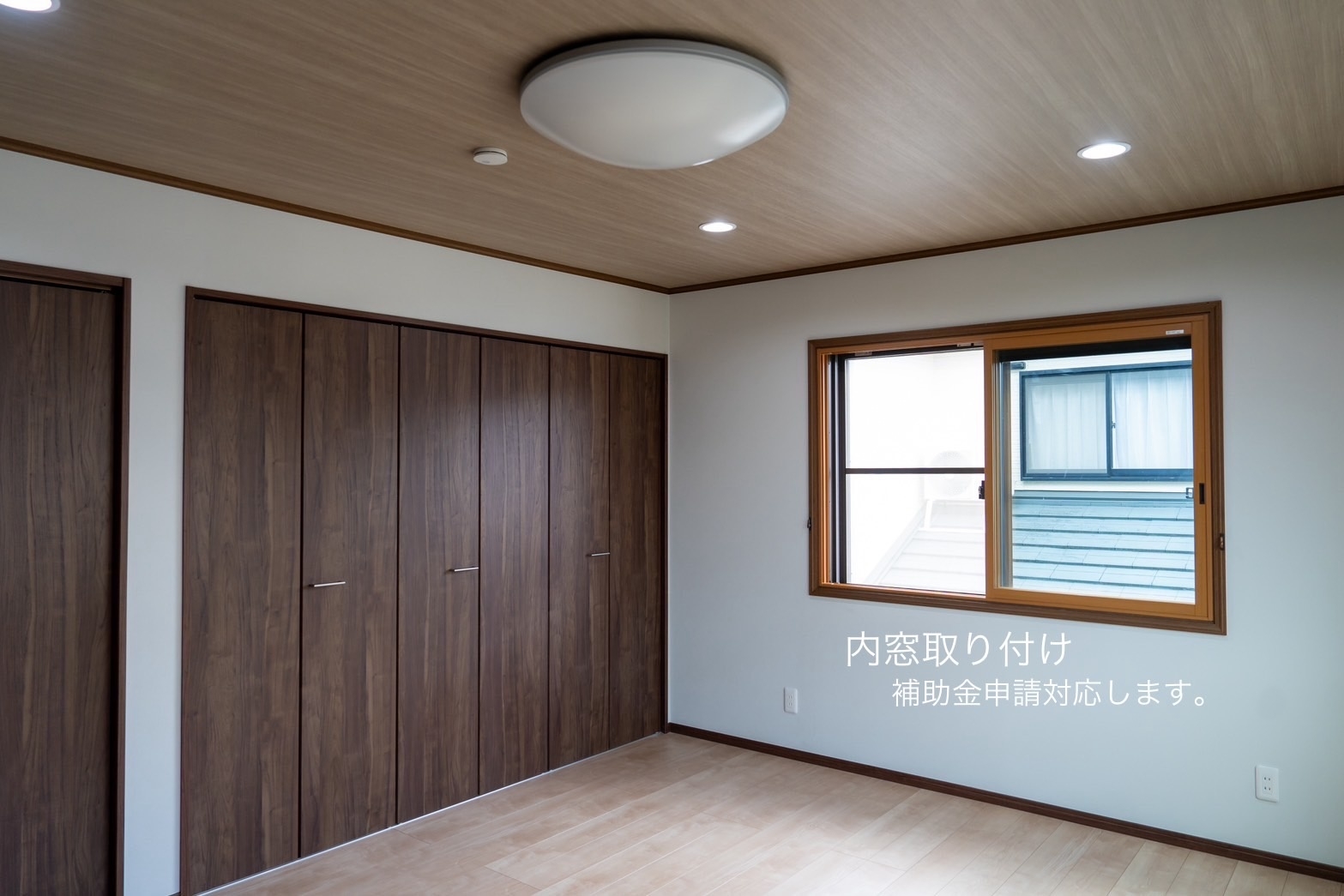 20241025i.jpg