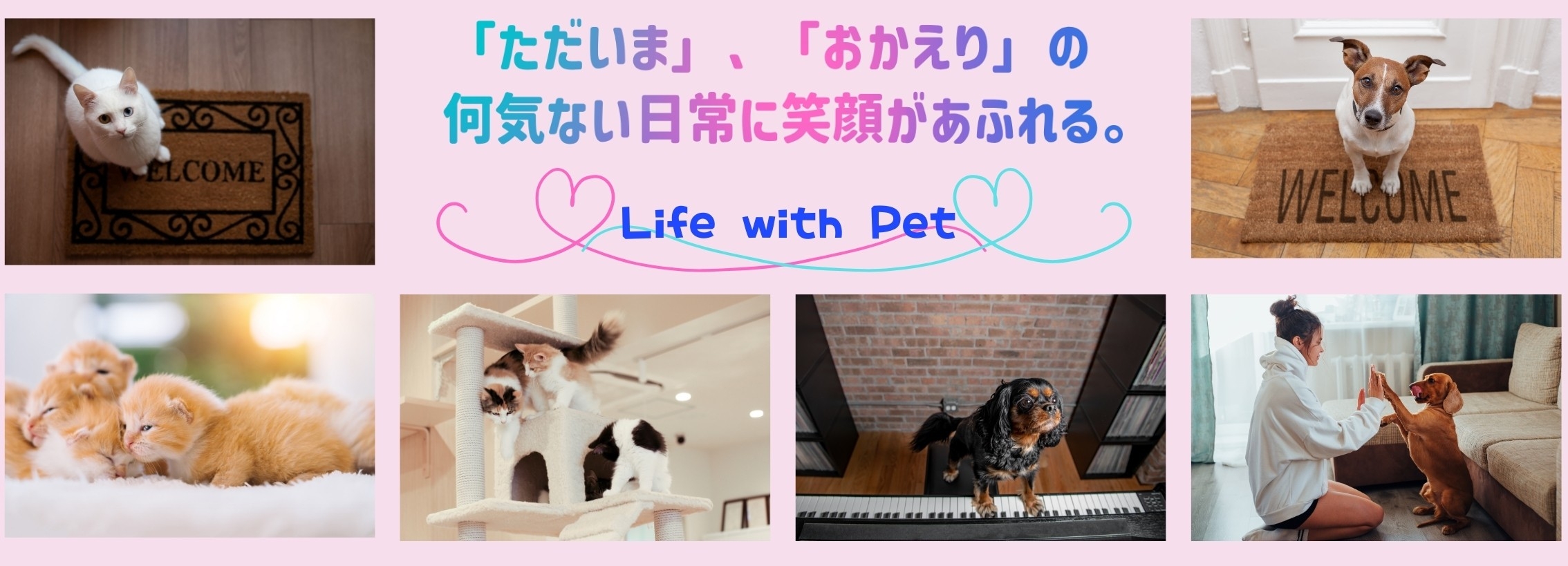 ペットと暮らす家.jpg