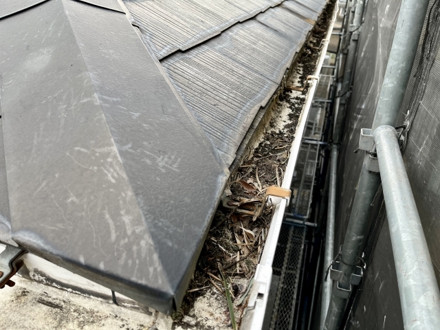 春に行う住宅メンテナンス　木の家を長持ちさせる点検ポイントを工務店が解説